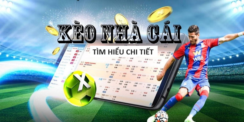 Hướng Dẫn Chơi Phỏm Online Bất Bại Tại Nhà Cái tha bai Hướng Dẫn Chơi Phỏm Online Bất Bại Tại Nhà Cái tha bai